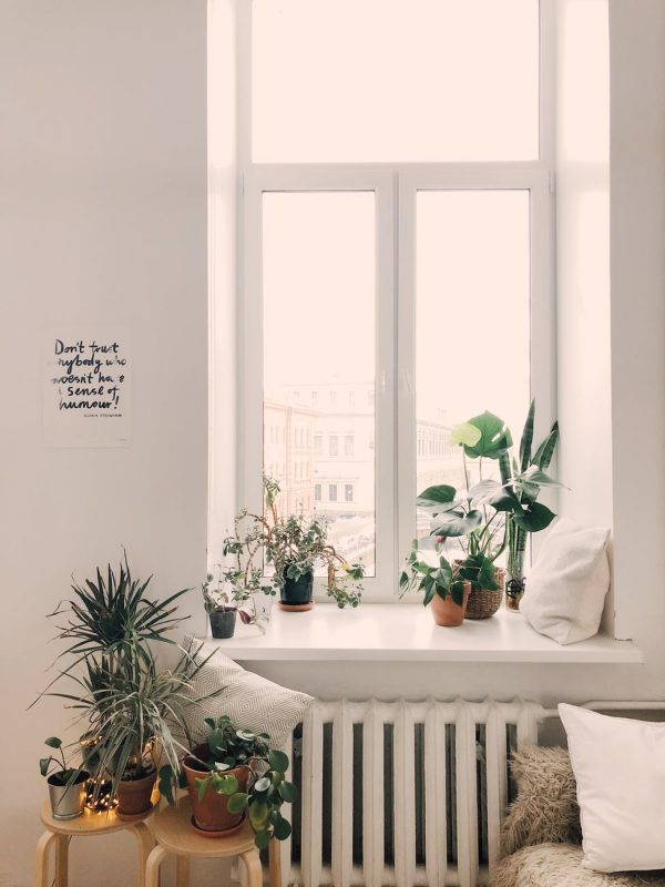 Indoor plant Ideas