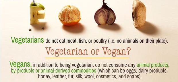 Vegetarian or Vegan?