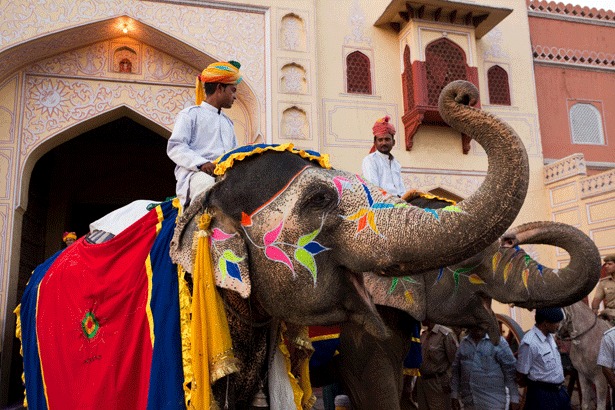 Jaipur Elephant ride to Amber Fort