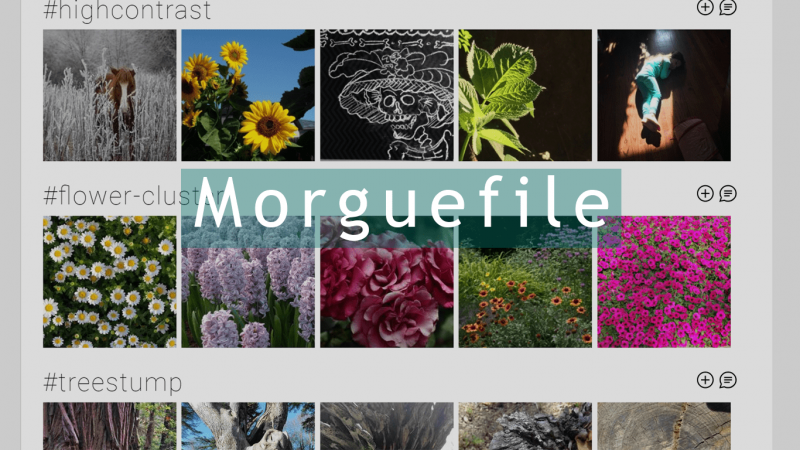 Morguefile photography website for copyright-free-stock-images