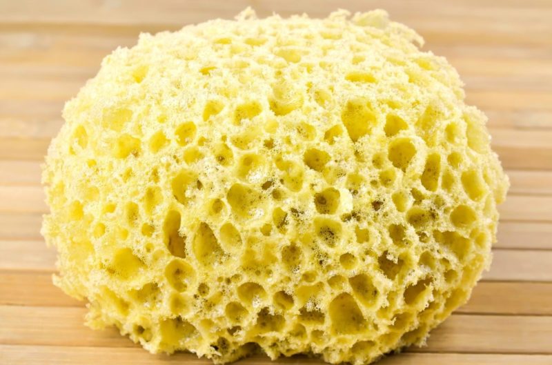 Sponge