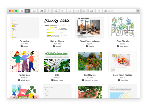 Notes app on MacOS Catalina