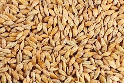 Barley or jau-5 Indian whole grains you must include in your diet