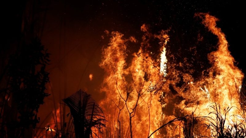 fire at amazon forests