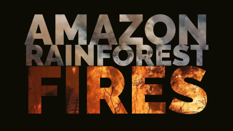 Amazon Rain forest Fires